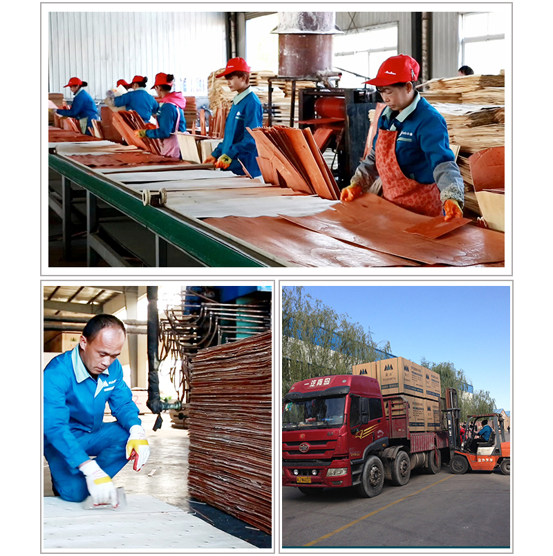 覆膜清水模板  工廠展示2