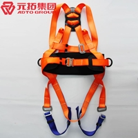 圖片 全身五點多功能安全帶