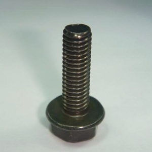 圖片 外六角法蘭面螺栓