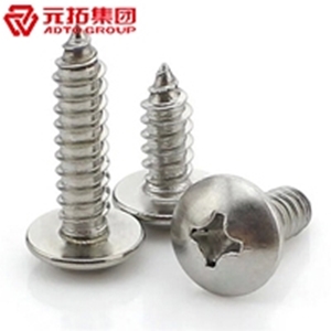 圖片 不銹鋼大扁頭自攻螺絲