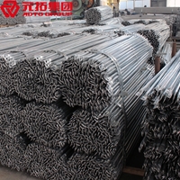 圖片 斜拉桿21.3*2198