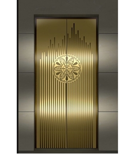 圖片 不銹鋼電梯門