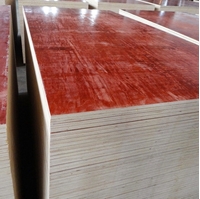 圖片 清水混凝土模板